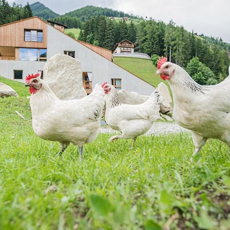 Koasa-Hof Ganzes Ferienhaus Und Sauna 5 Zimmer 240Mq Cadipietra Exteriér fotografie