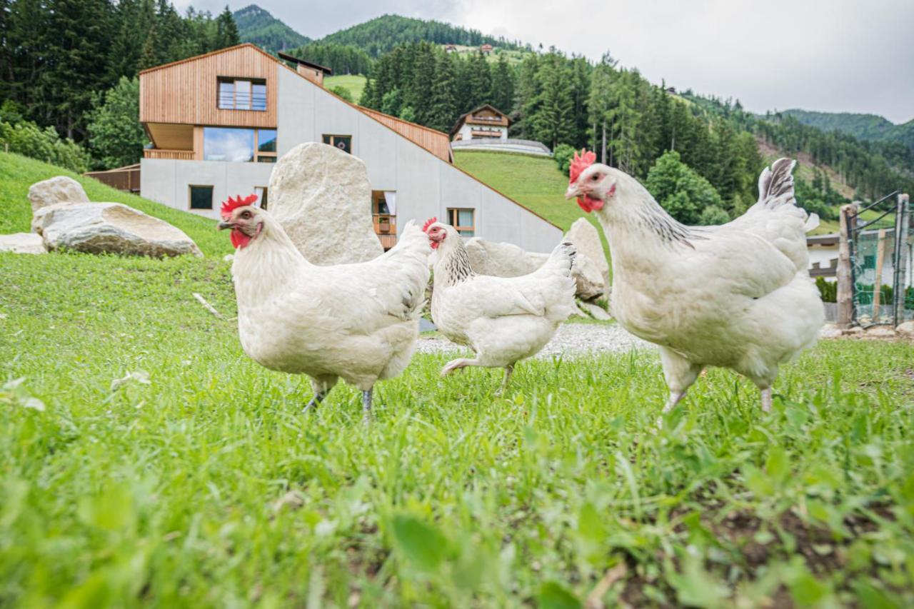 Koasa-Hof Ganzes Ferienhaus Und Sauna 5 Zimmer 240Mq Cadipietra Exteriér fotografie